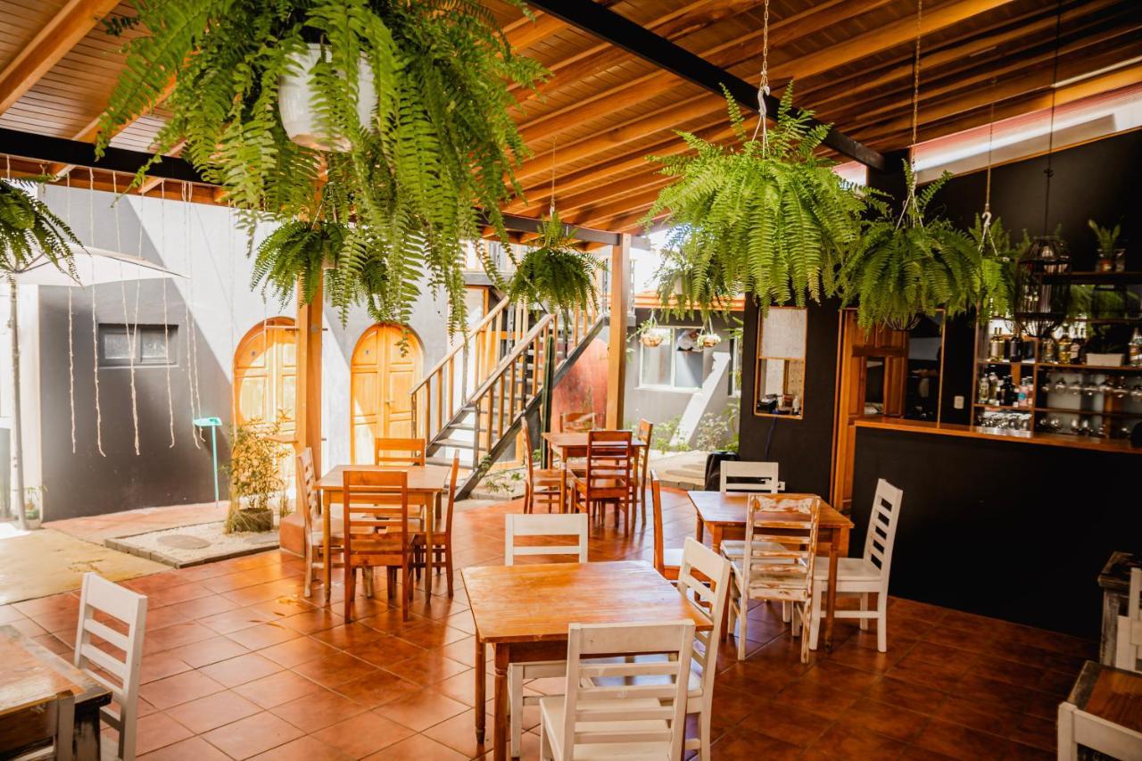 Luz De Luna Hotel Barrio Escalante San Jose  Eksteriør bilde