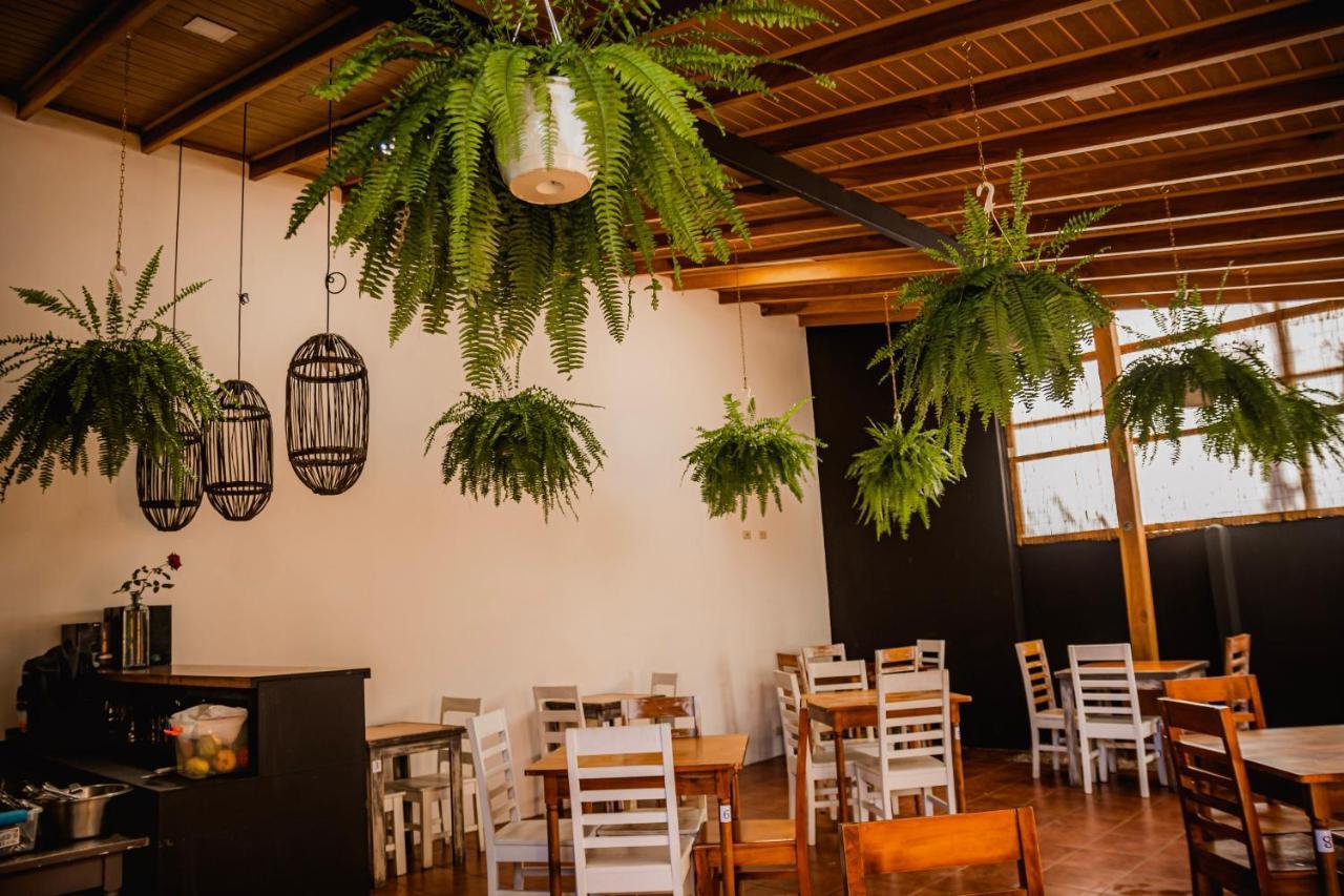 Luz De Luna Hotel Barrio Escalante San Jose  Eksteriør bilde